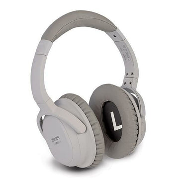 Casques Bluetooth avec Microphone LINDY LH500XW Gris