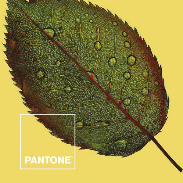 Couvre-lit Nature Pantone