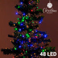 Lumières de Noël Multicouleur (48 LED)